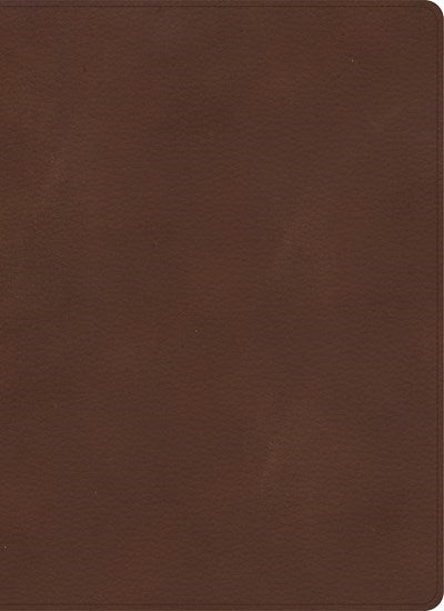Seed of Abraham Christian Bookstore - (In)Courage - KJV Single-Column Wide-Margin Bible-Brown LeatherTouch