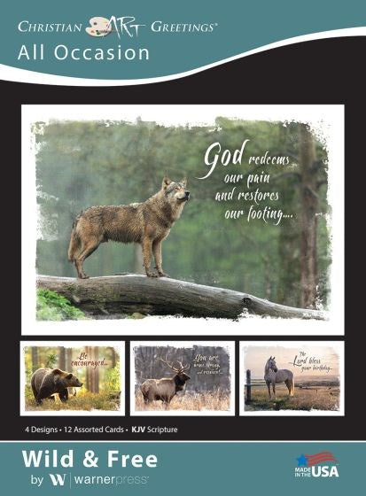 Seed of Abraham Christian Bookstore - (In)Courage - Card-Boxed-Wild &amp; Free Assorted All Occasion (KJV) (Box Of 12)