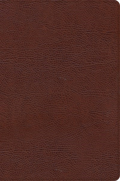 Seed of Abraham Christian Bookstore - (In)Courage - CSB Large Print Thinline Bible-Brown Bonded Leather