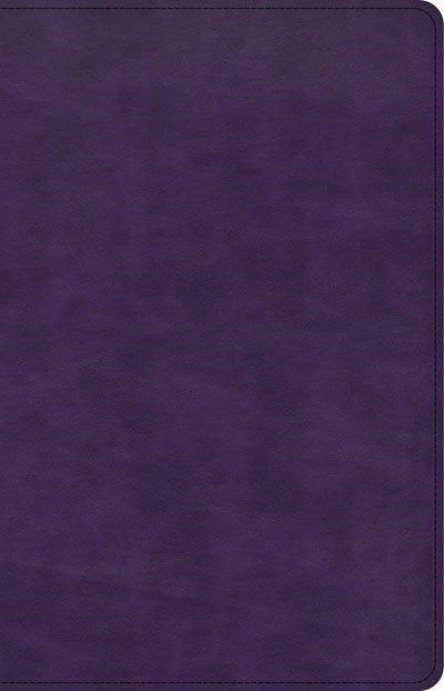 Seed of Abraham Christian Bookstore - (In)Courage - CSB Large Print Personal Size Reference Bible-Purple LeatherTouch Indexed