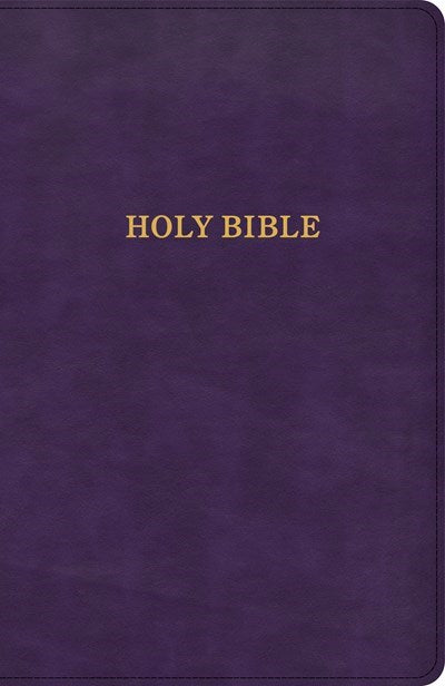 Seed of Abraham Christian Bookstore - (In)Courage - KJV Thinline Bible-Purple LeatherTouch
