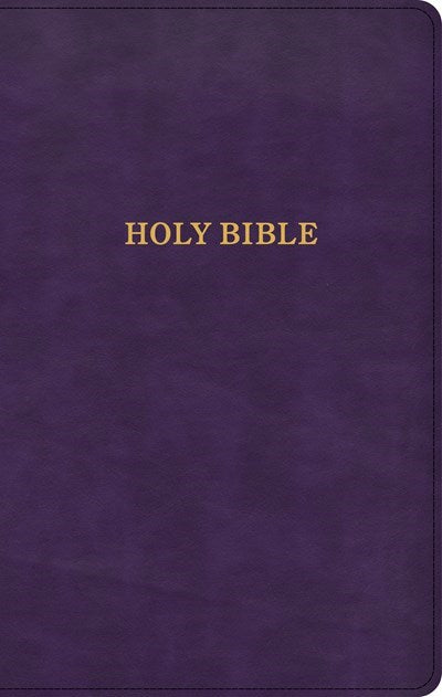 Seed of Abraham Christian Bookstore - (In)Courage - KJV Thinline Reference Bible-Purple LeatherTouch