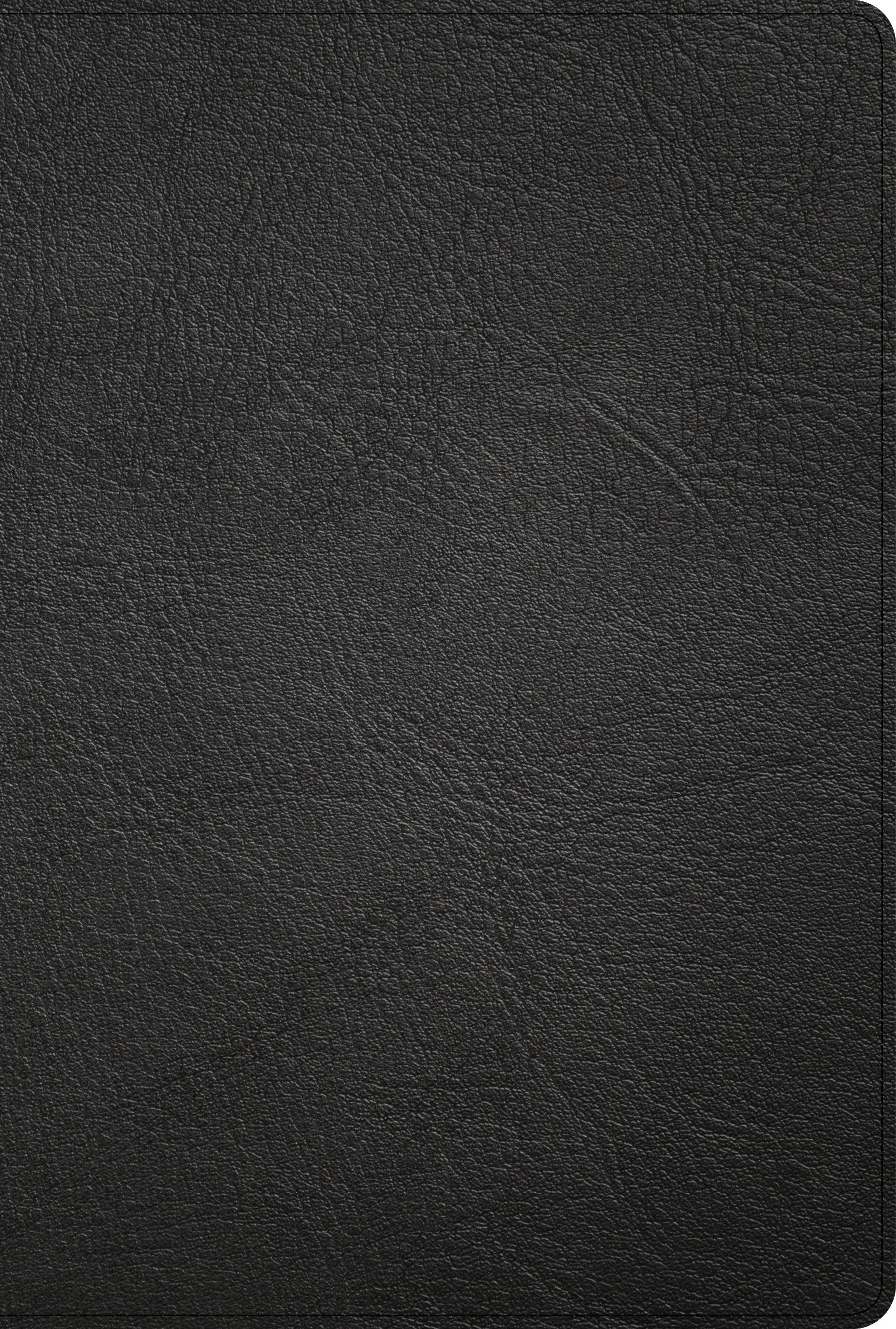 Seed of Abraham Christian Bookstore - (In)Courage - KJV Large Print Thinline Bible-Black Genuine Leather