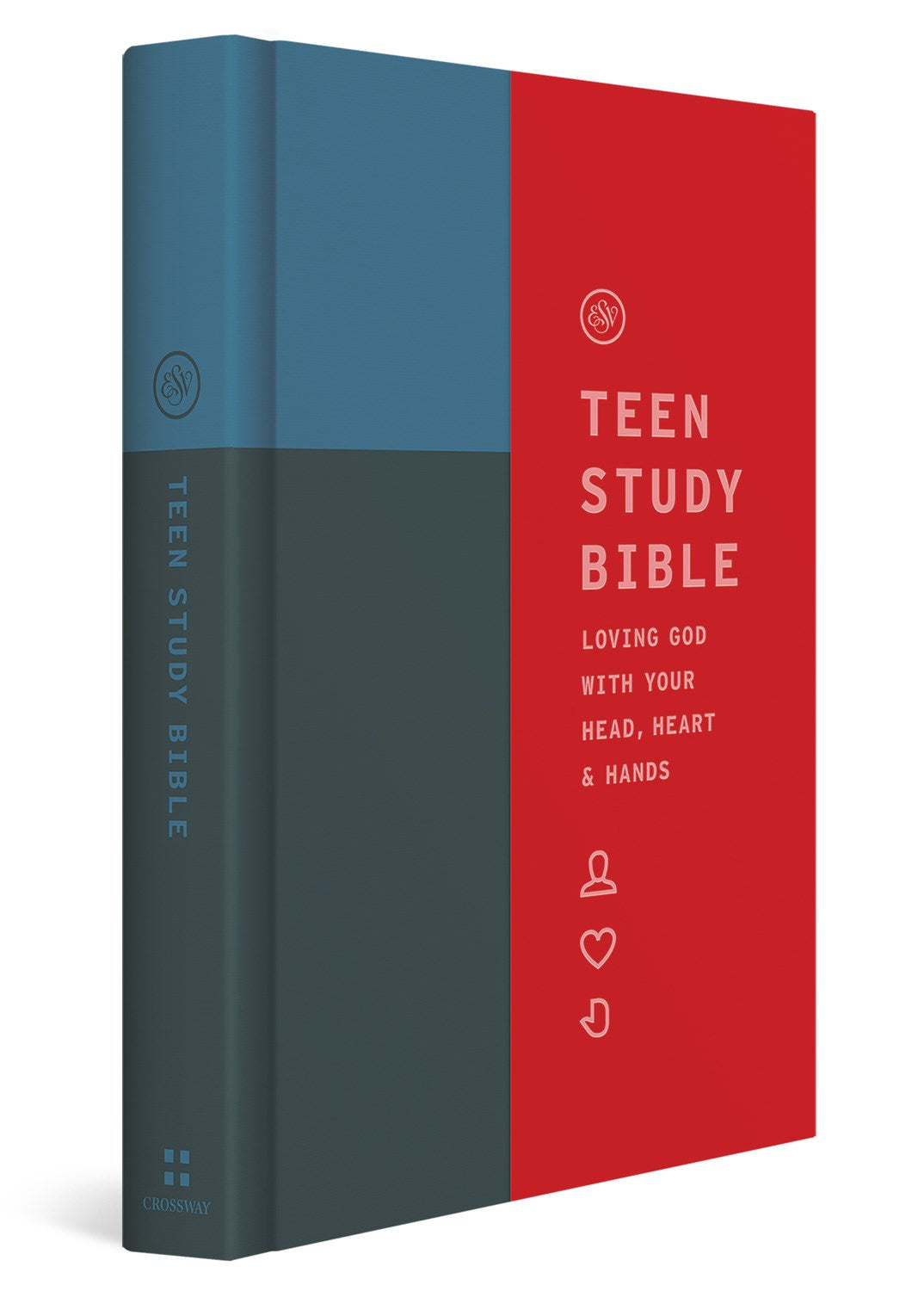 Seed of Abraham Christian Bookstore - (In)Courage - ESV Teen Study Bible-Cliffside Hardcover