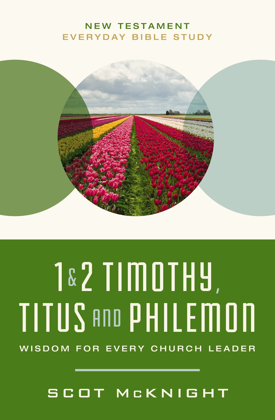 1 &amp; 2 Timothy  Titus  And Philemon (New Testament Everyday Bible Study Series)