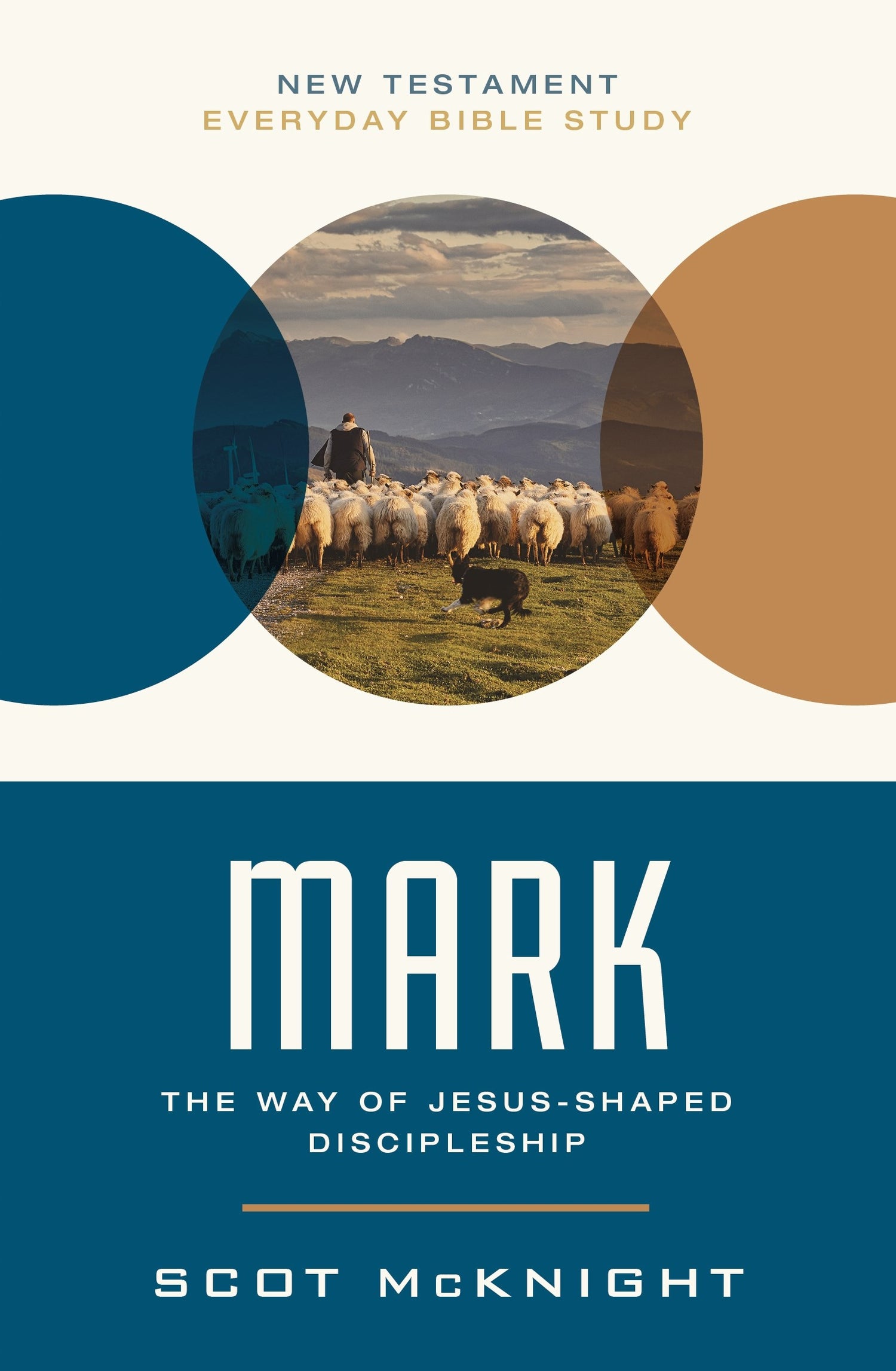 Mark (New Testament Everyday Bible Study)