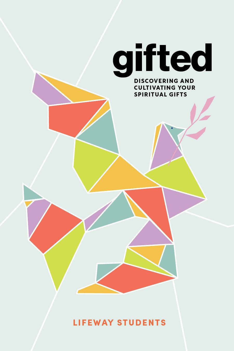Gifted Teen Bible Study Book