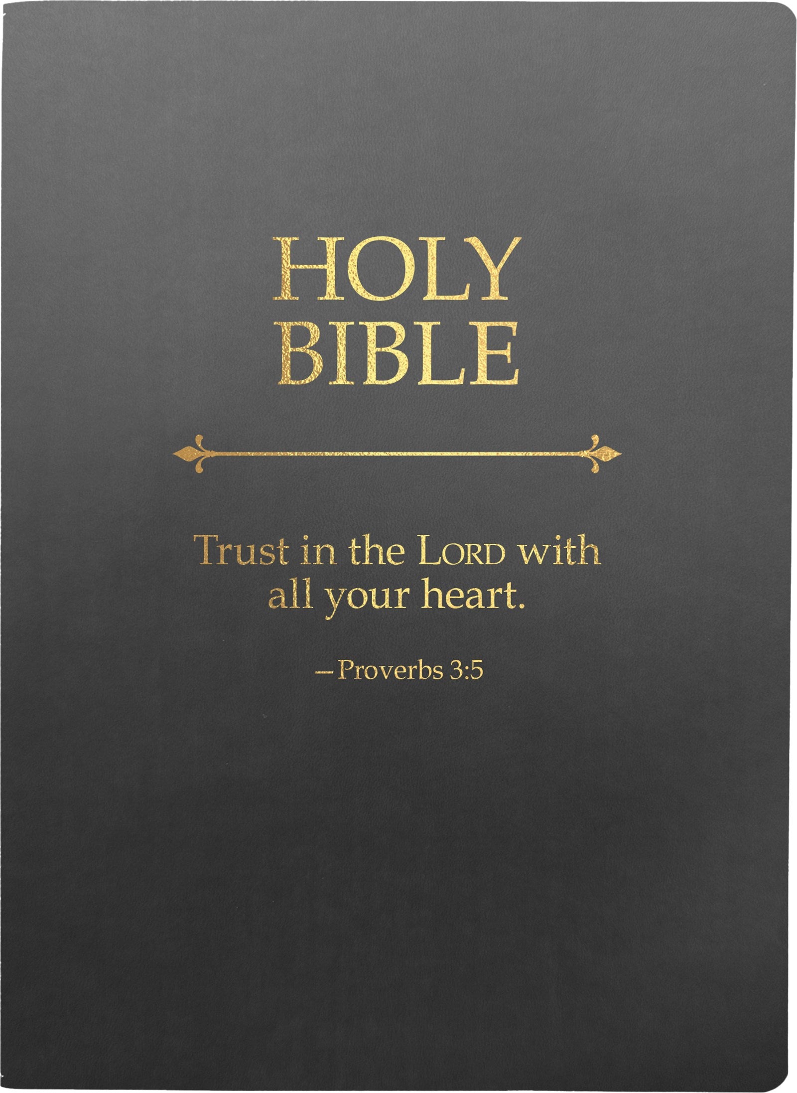 KJVER Holy Bible Trust In The Lord Life Verse Edition Large Print-Black Ultrasoft