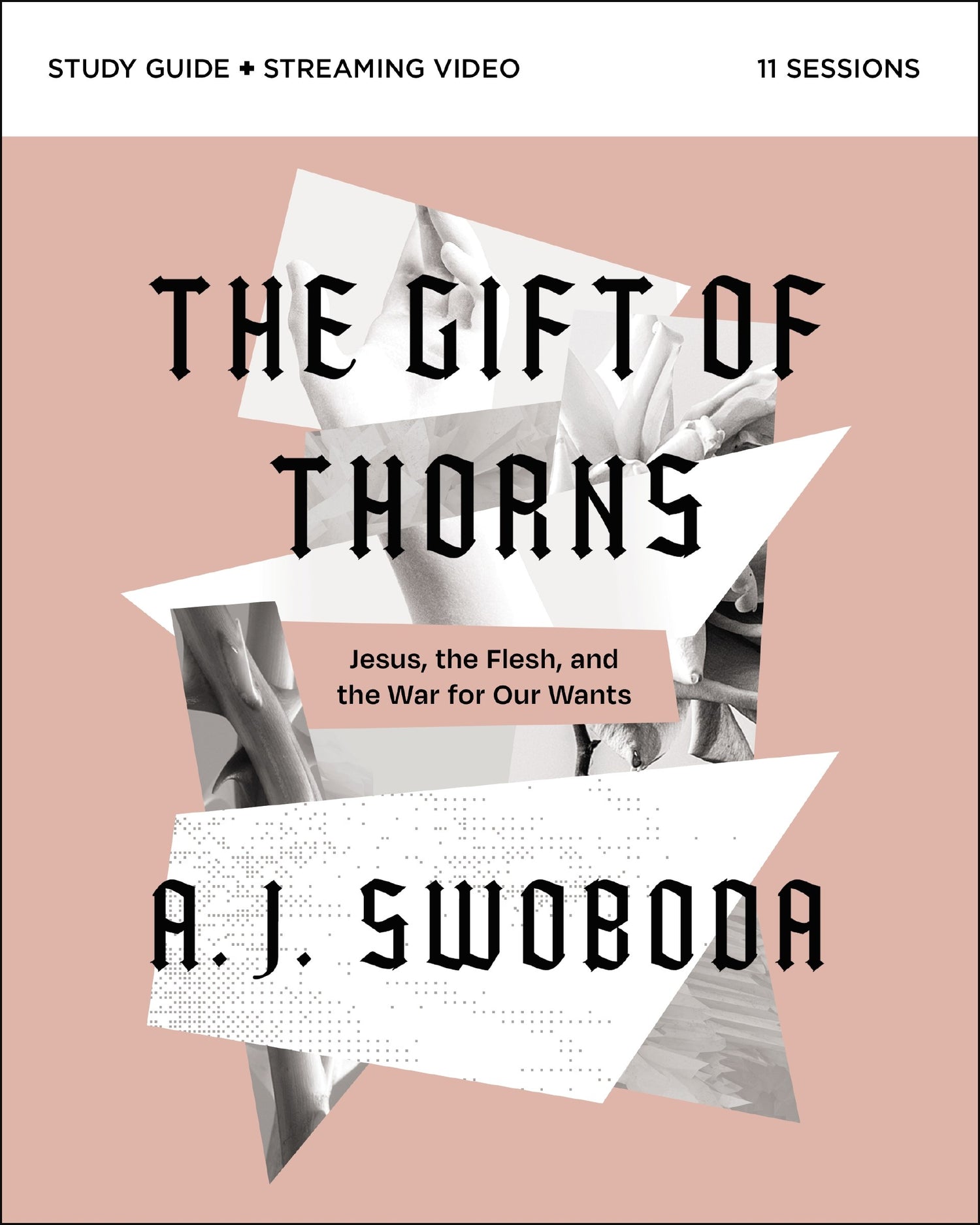 The Gift Of Thorns Study Guide
