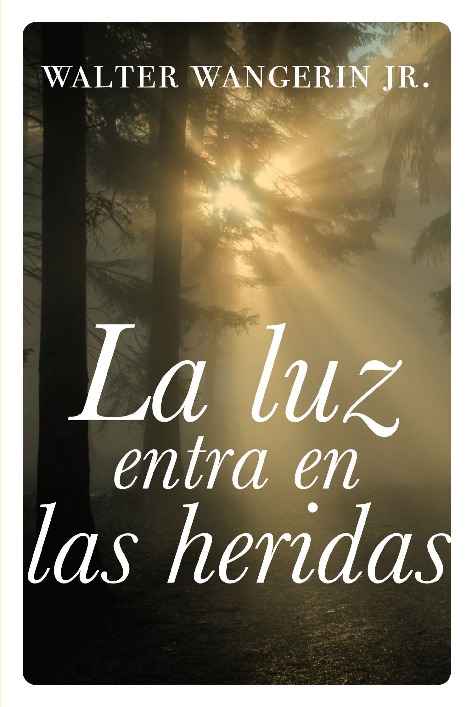 Span-Wounds Are Where Light Enters (La luz entra en las heridas)