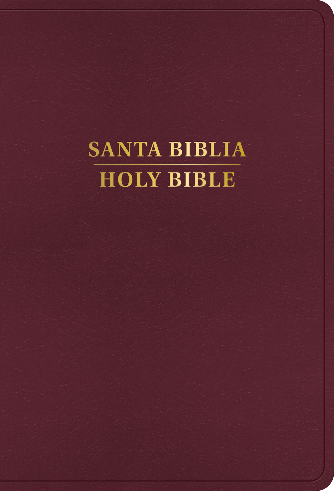 Span-RVR 1960/KJV Large Print Bible (Biblia Bilingue Letra Grande)-Burgundy Imitation Leather Indexed