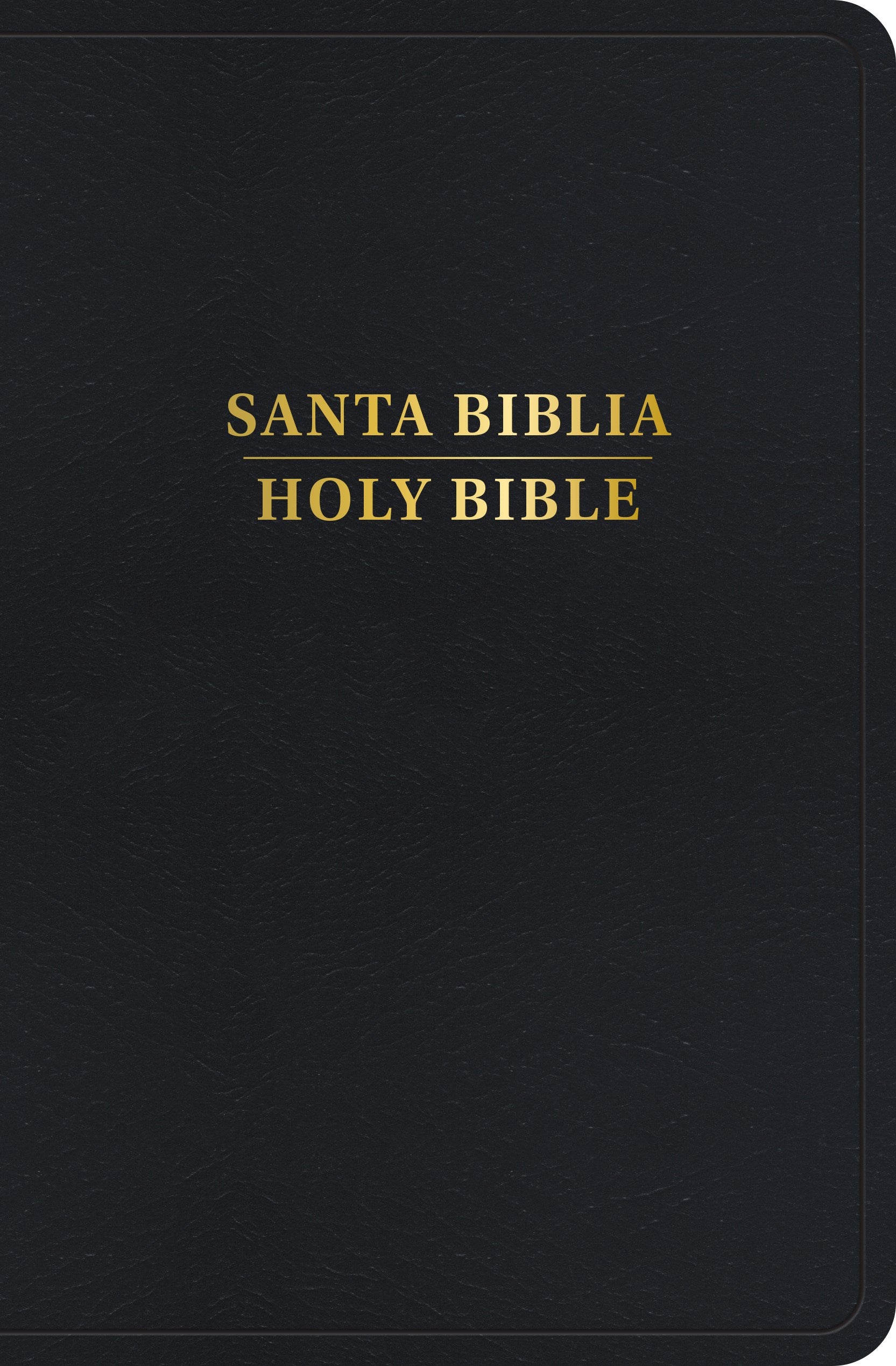 Span-RVR 1960/KJV Personal Size Bilingual Bible (Biblia Bilingue Tamano Personal)-Black Imitation Leather Indexed
