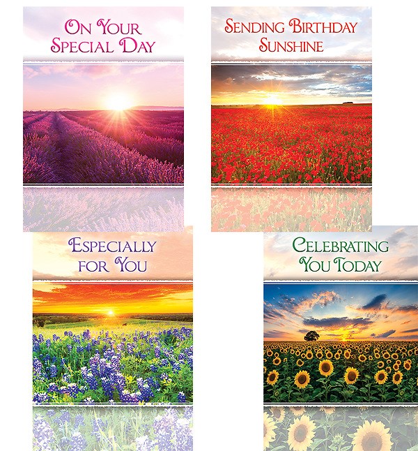 Card-Boxed-Birthday Sunshine Assorted (KJV) (Box Of 12)
