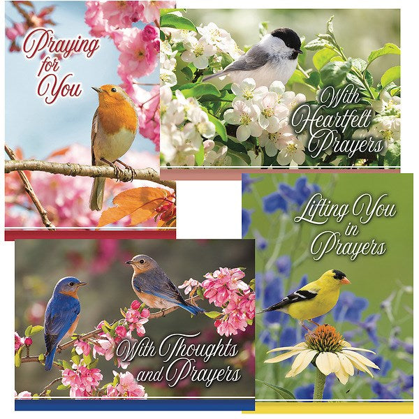 Card-Boxed-Prayerful Melodies Assorted (KJV) (Box Of 12)